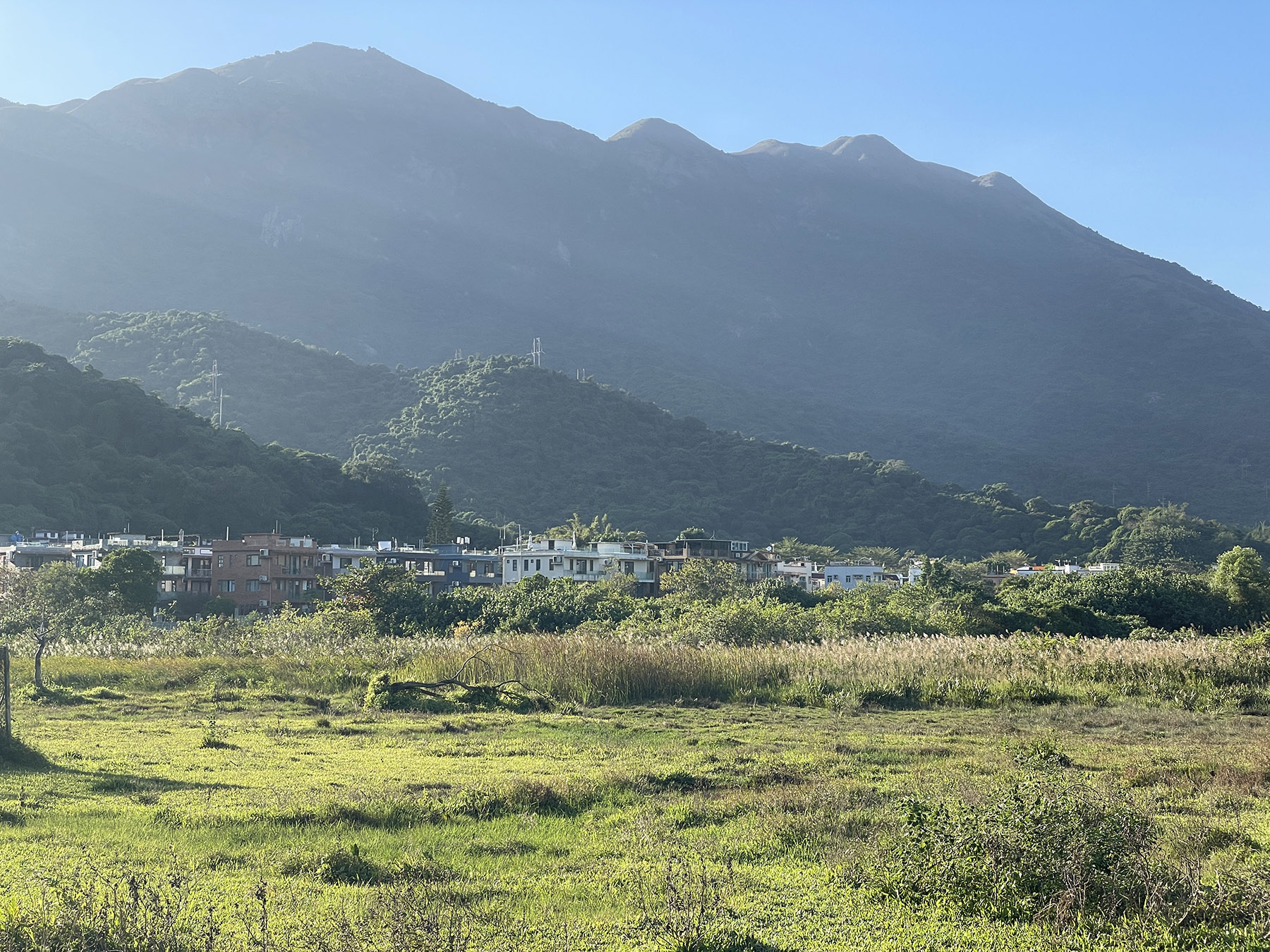 South Development and Sustainable Lantau Office - Ecological Studies