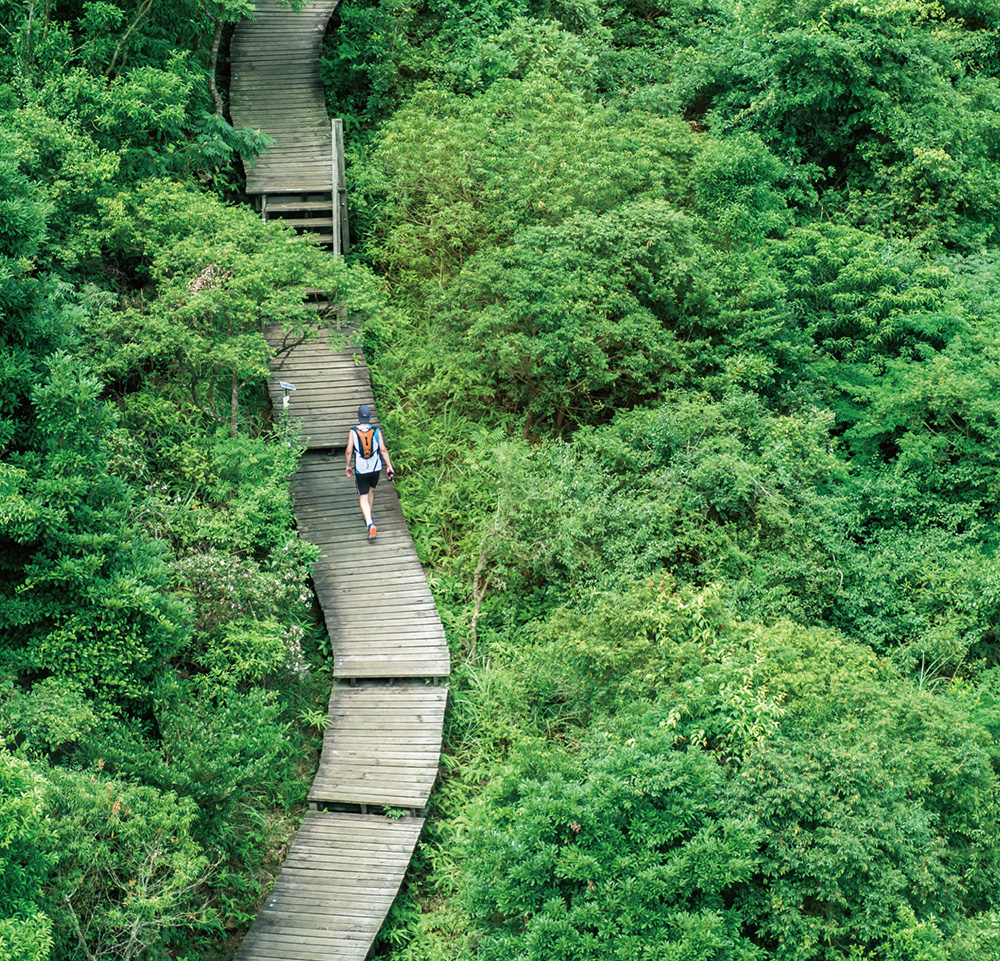 Hiking and Excursion 8