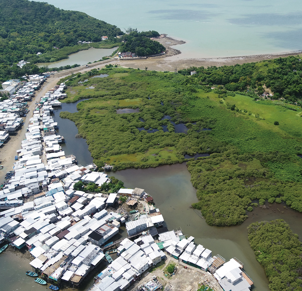 Lantau Conservation Fund 9