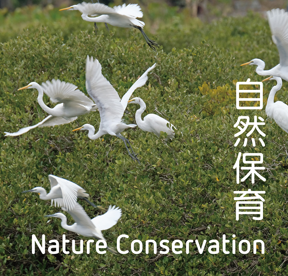 Nature and Cultural Conservation 1
