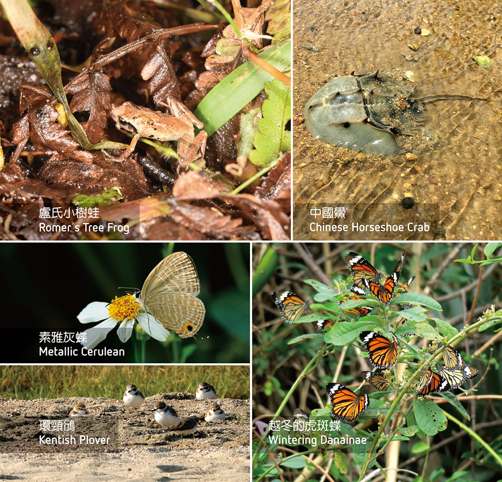 Nature and Cultural Conservation 3