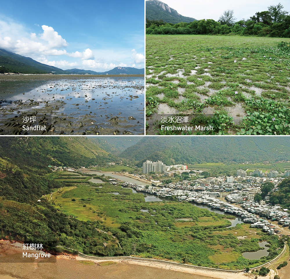 Nature and Cultural Conservation 4