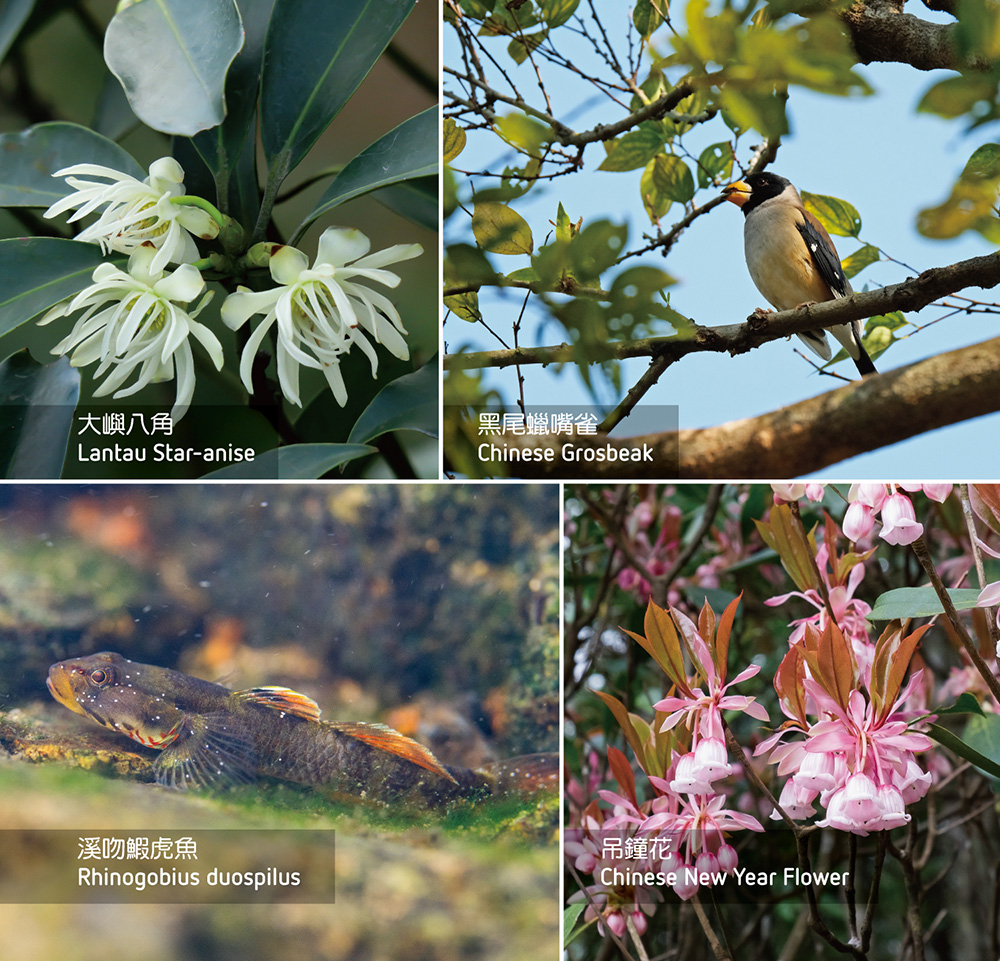 Nature and Cultural Conservation 9