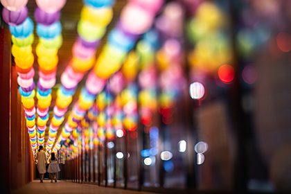 七彩长廊 <br> Steve