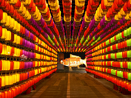 鱼乐无穷 <br> Bigcamel