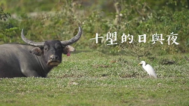 十塱