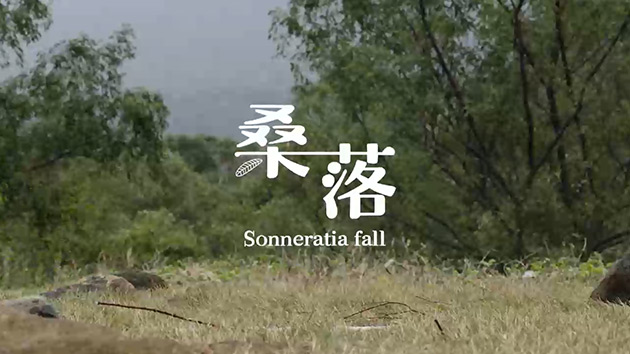 移除海桑