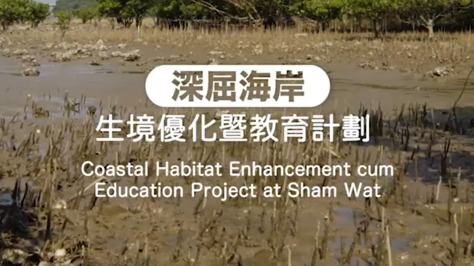 深屈海岸生境優化暨教育計劃