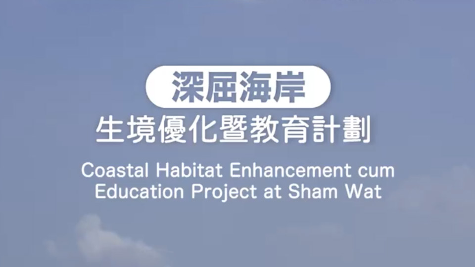 深屈海岸生境優化暨教育計劃