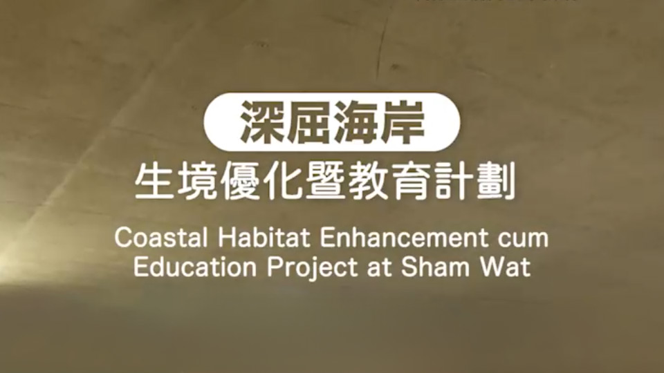 深屈海岸生境優化暨教育計劃