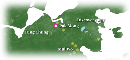 Pak Mong Ferry