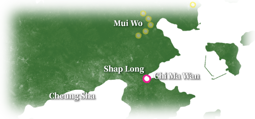 Shap Long